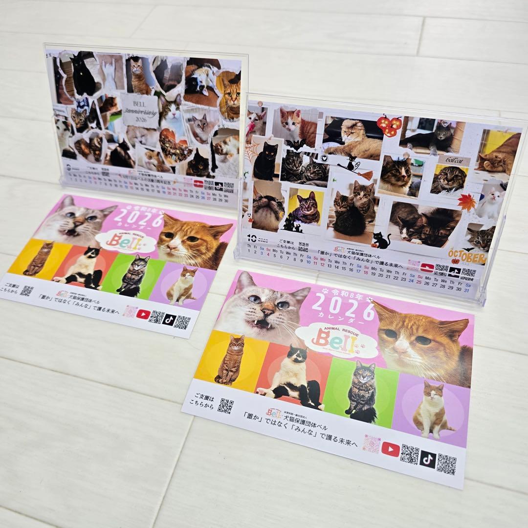 ①《猫》 卓上チャリティーカレンダー10枚セット