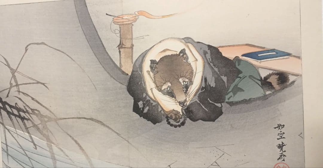 小説故郷の口絵中沢弘光画と河鍋暁斎の口絵狸の2枚売りです