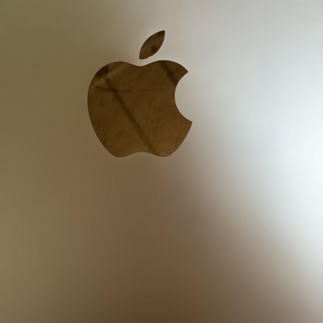 iPad本体 画面ひび割れ