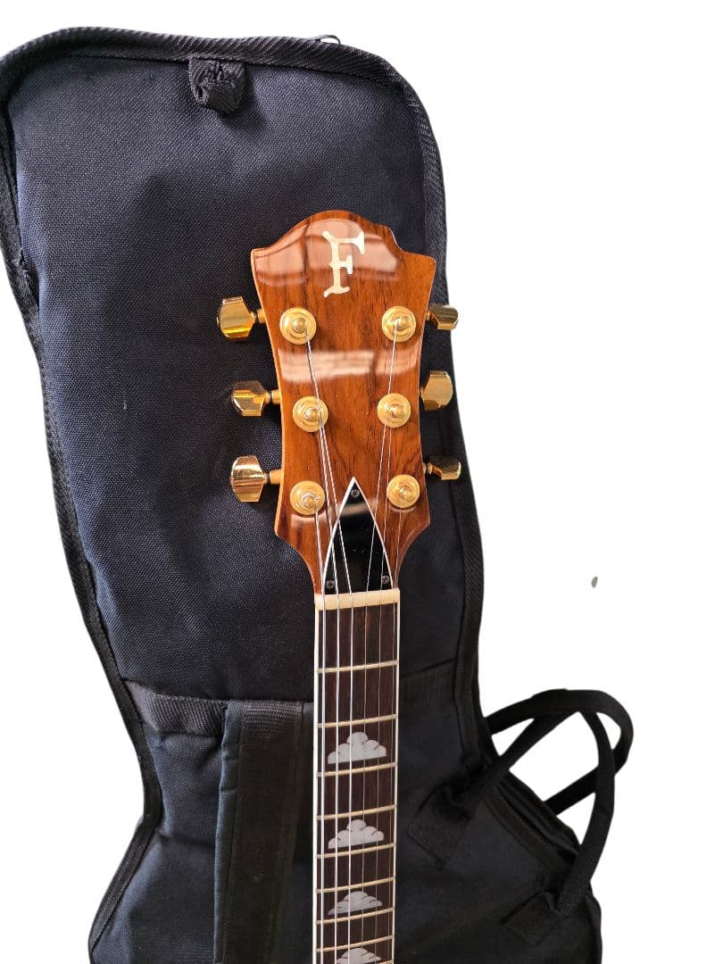 Fernandes MG-80X EMG ピックアップ エレキギター