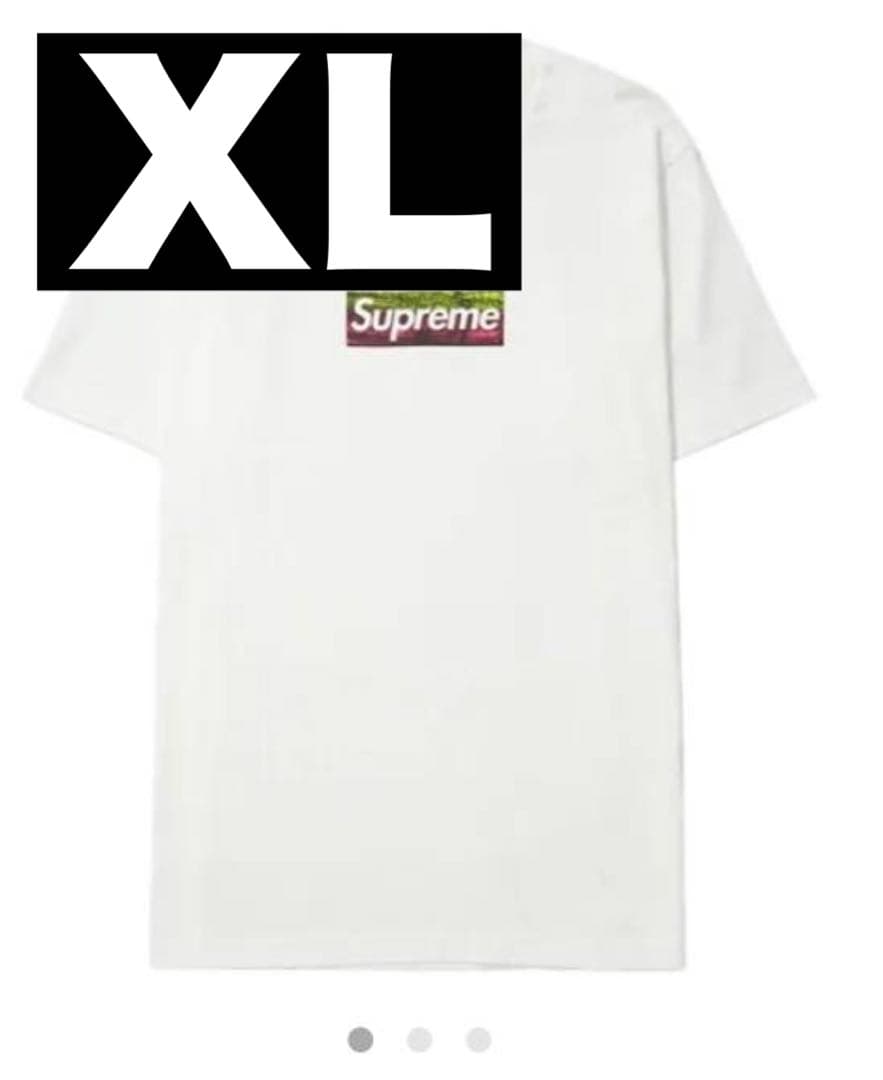 ミュージシャン Supreme Los Angeles Fire Relief Box XL