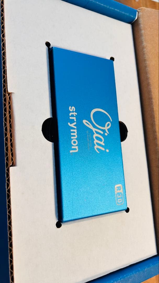 Strymon Ojai R30 パワーサプライ