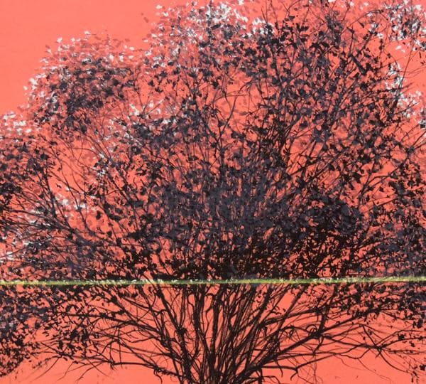 ●小澤清人４枚●プチブロン・浮き輪の女の子・ザクロ・樹木　小沢清人