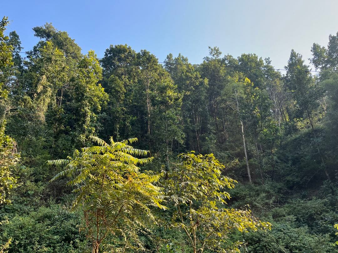 りつママさま　専用