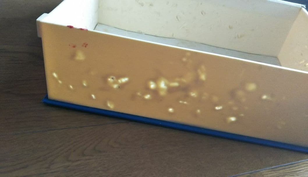 キン肉マン 超人全鑑 キン消し