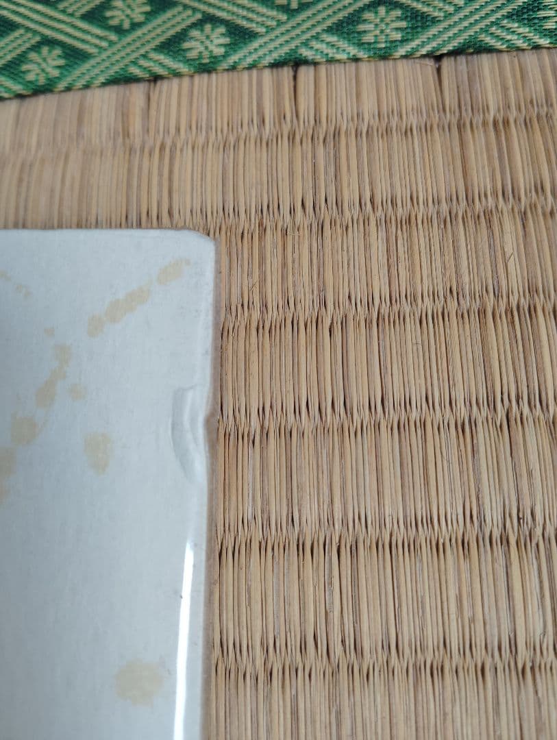 ハワイで購入した亀の絵