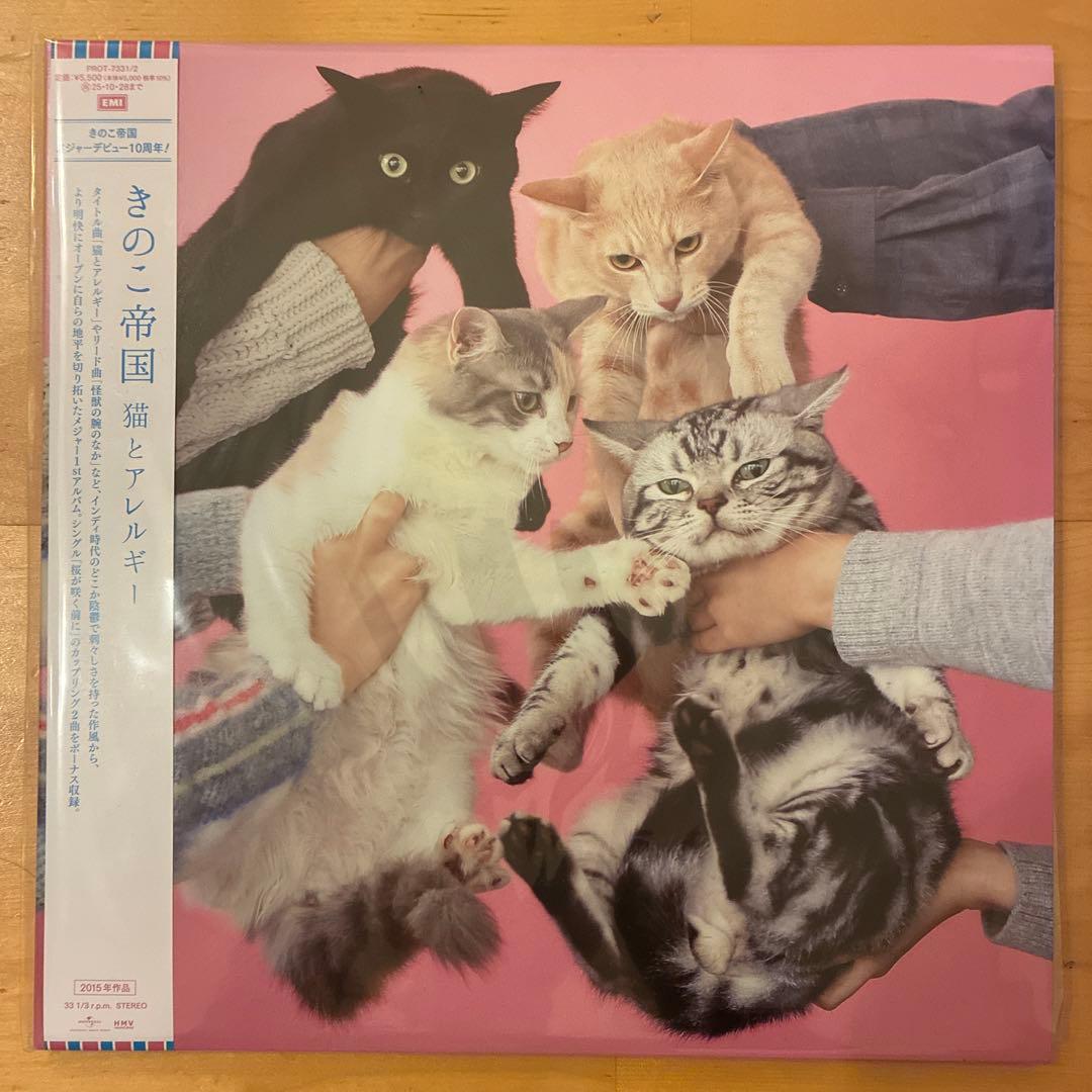 きのこ帝国 / アナログレコード　3枚セット