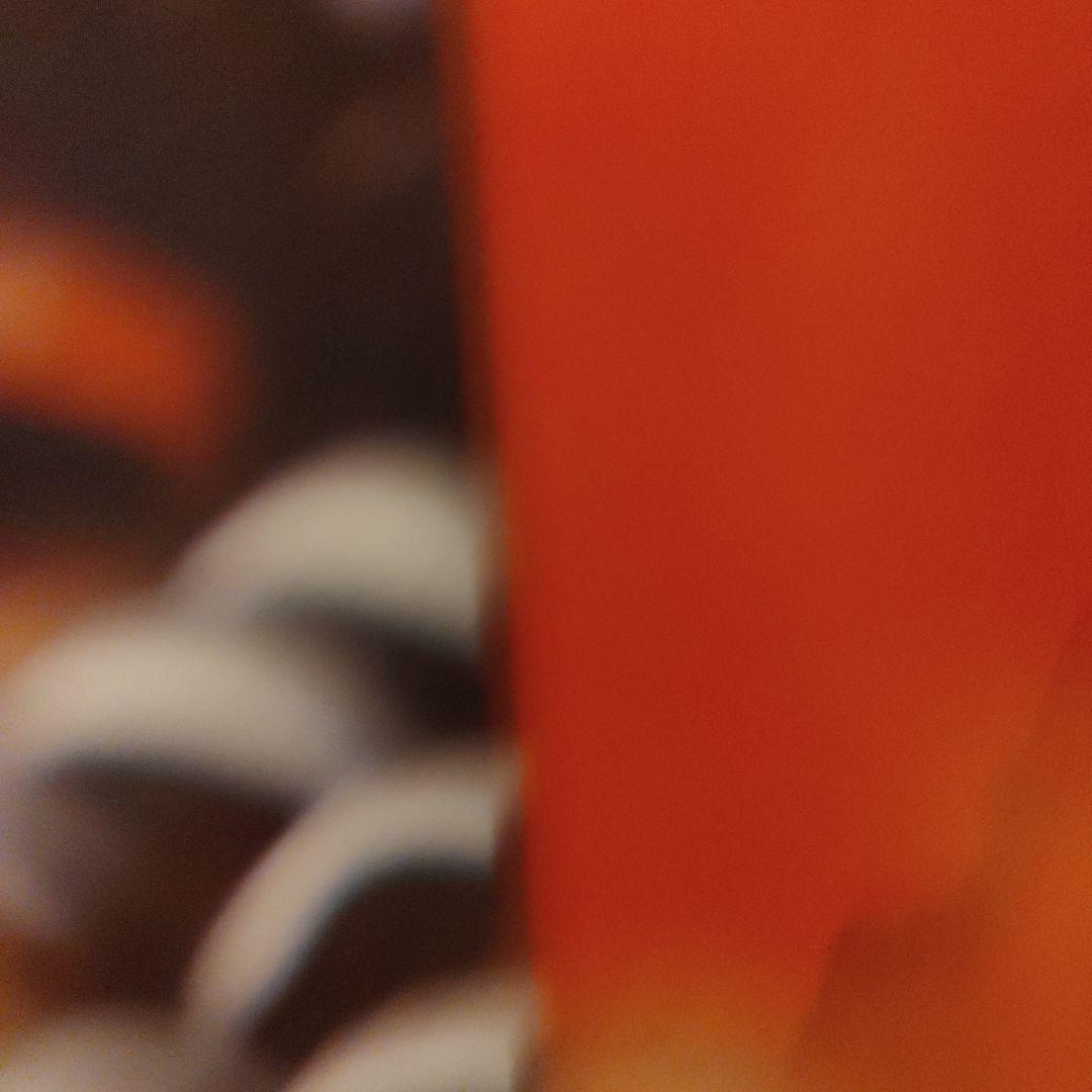 西城秀樹さん木製パネル