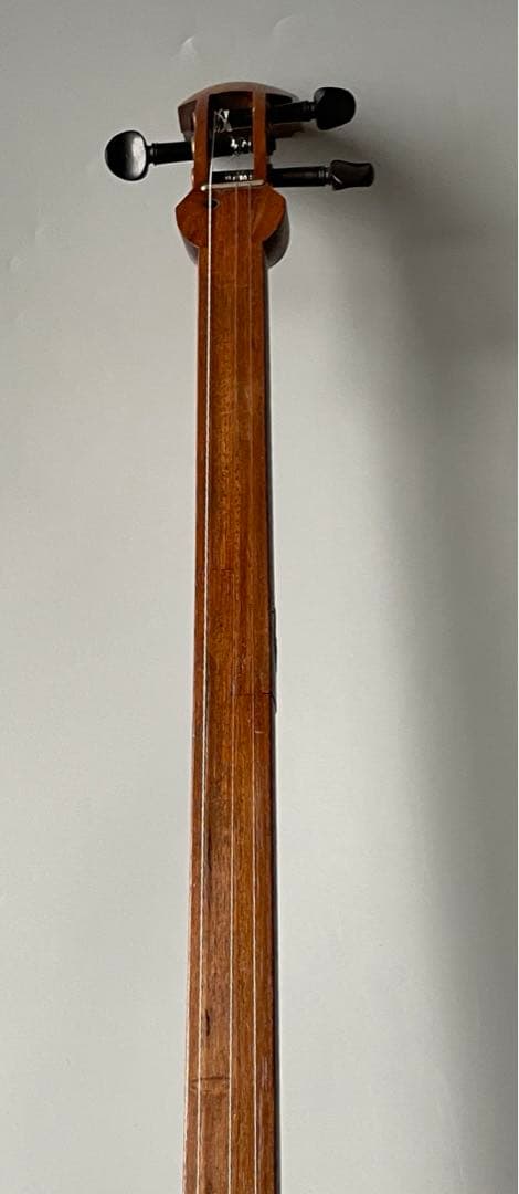 レア楽器　シャズセン　ダブルボディ　細棹