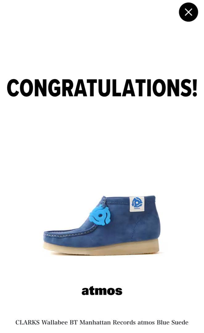 靴 Clarks Wallabee Manhattan Records atmos