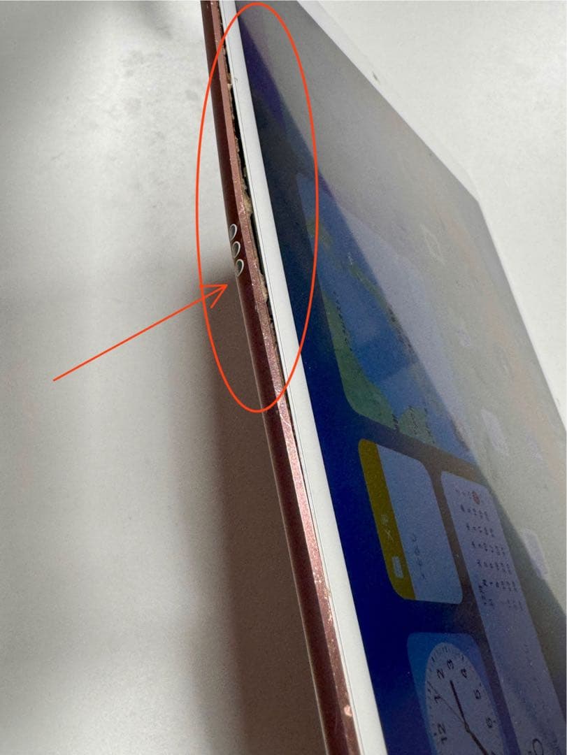 Apple iPad Pro 10.5インチ ローズゴールド 本体 ジャンク