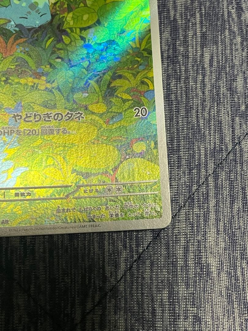 フシギバナ exsarセット