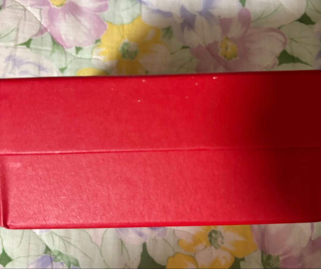 家に猫がいます