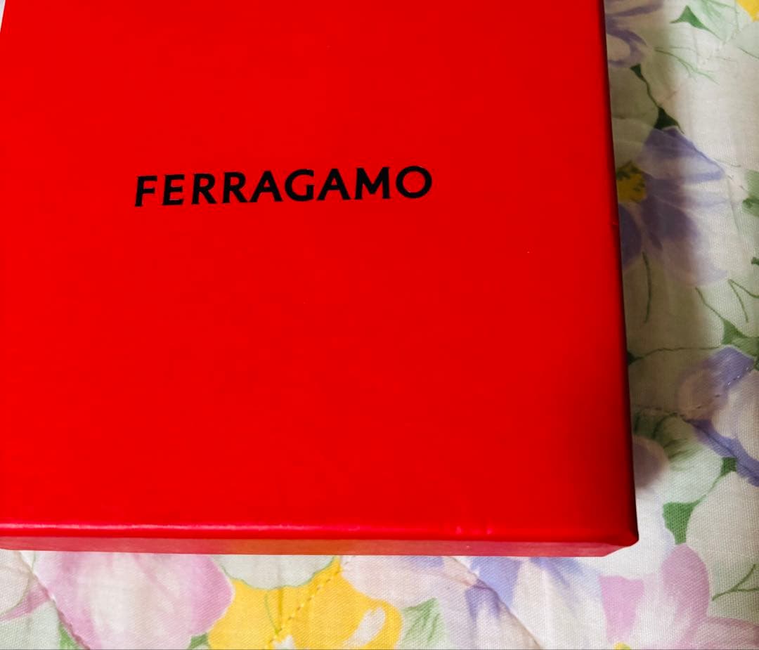 家に猫がいます