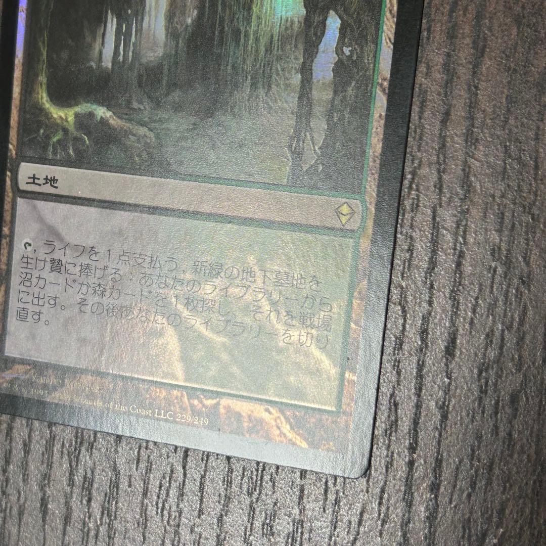 【日本語Foil】《新緑の地下墓地/Verdant Catacombs》ZEN