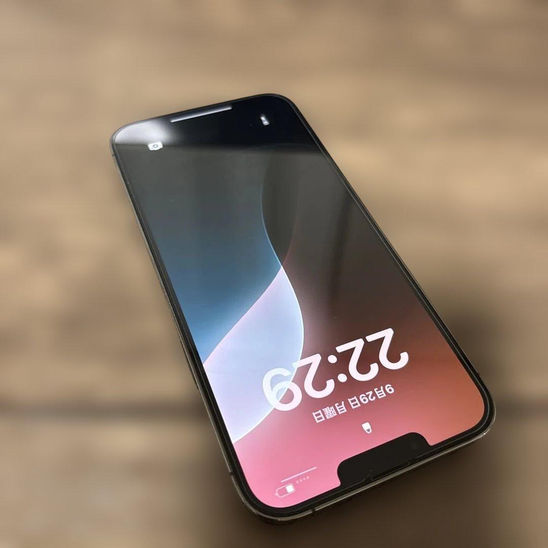 Apple iPhone 13 Pro Maxグラファイト 128GB