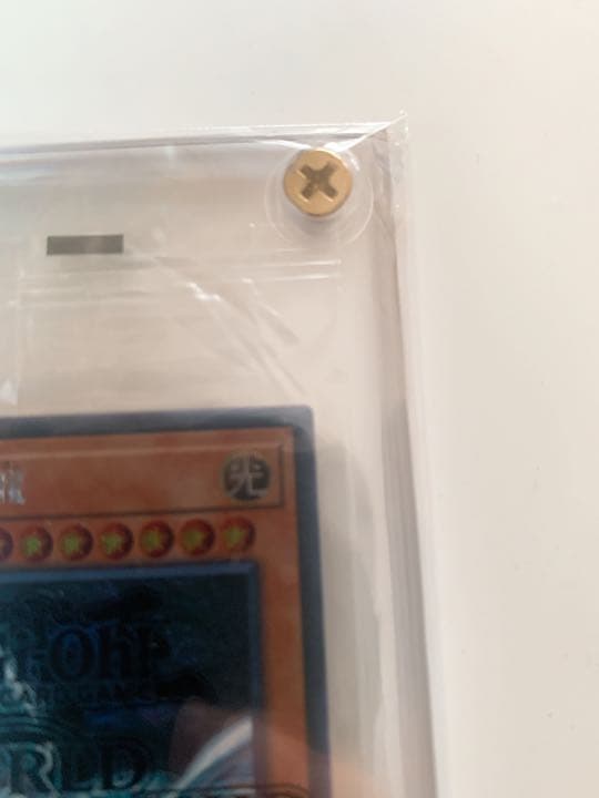 青眼の亜白龍　WCS2017