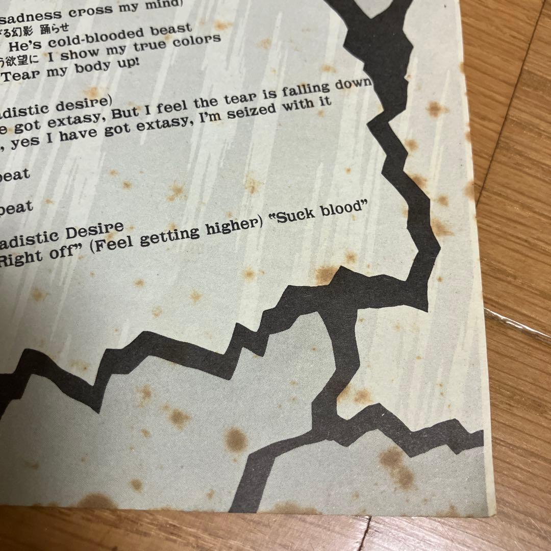 X Japan Vanishing Vision レコード