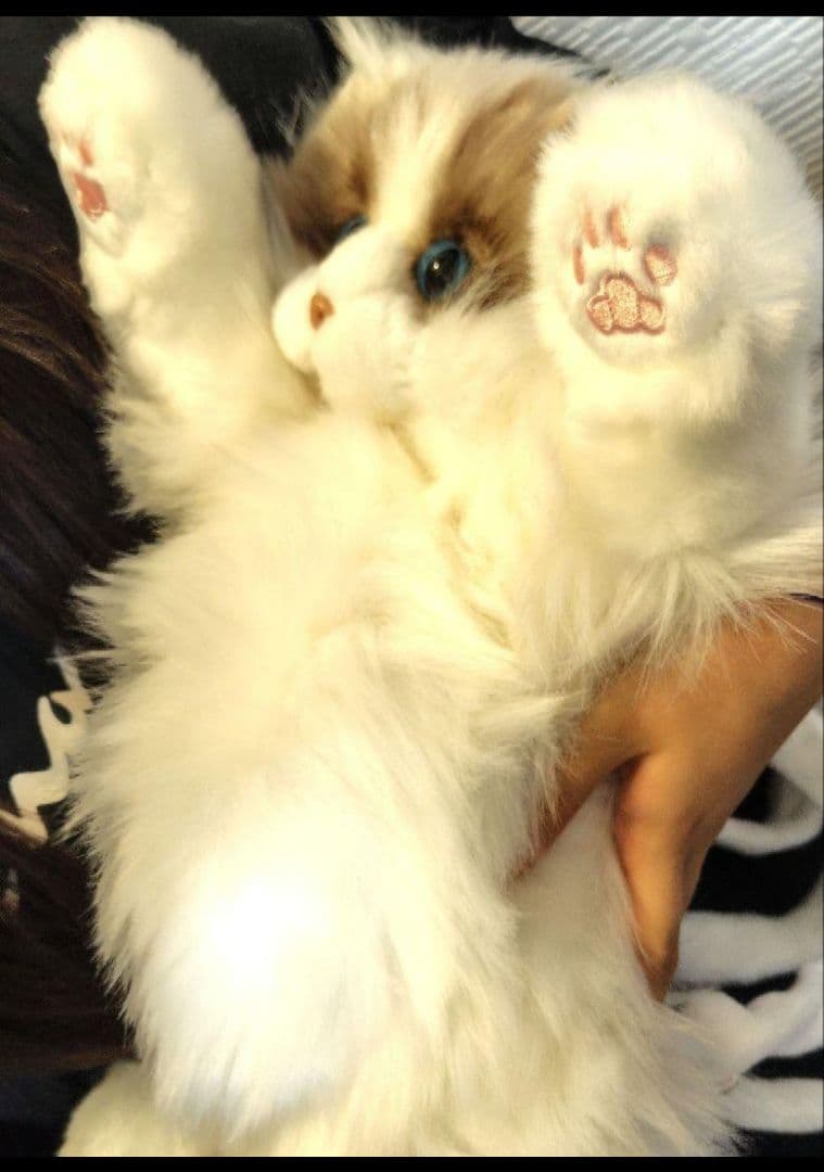 猫のぬいぐるみ　にゃんちゃん　ショルダーねこバッグ