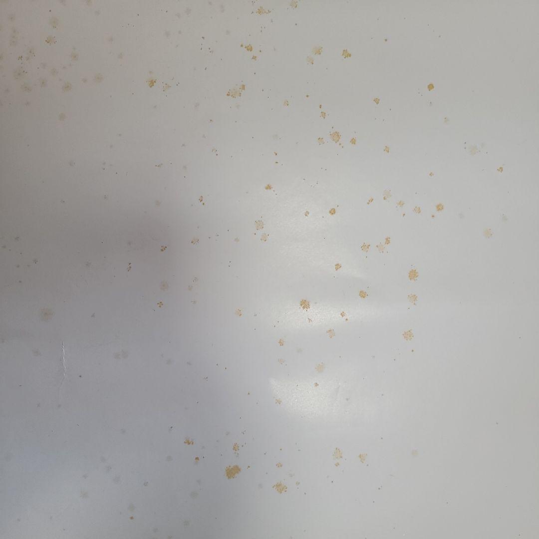 貴重　OUTO ポスター