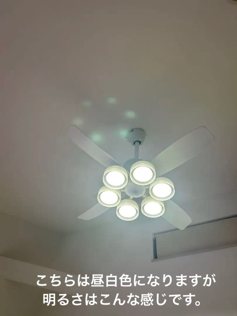 【新品6個】ODELIC No.293KL 非調光ランプ　電球色LED