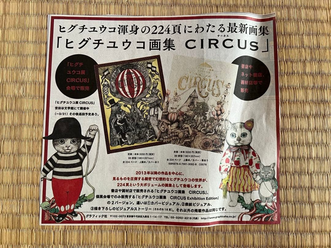 ヒグチユウコのフライヤー、新聞、その他