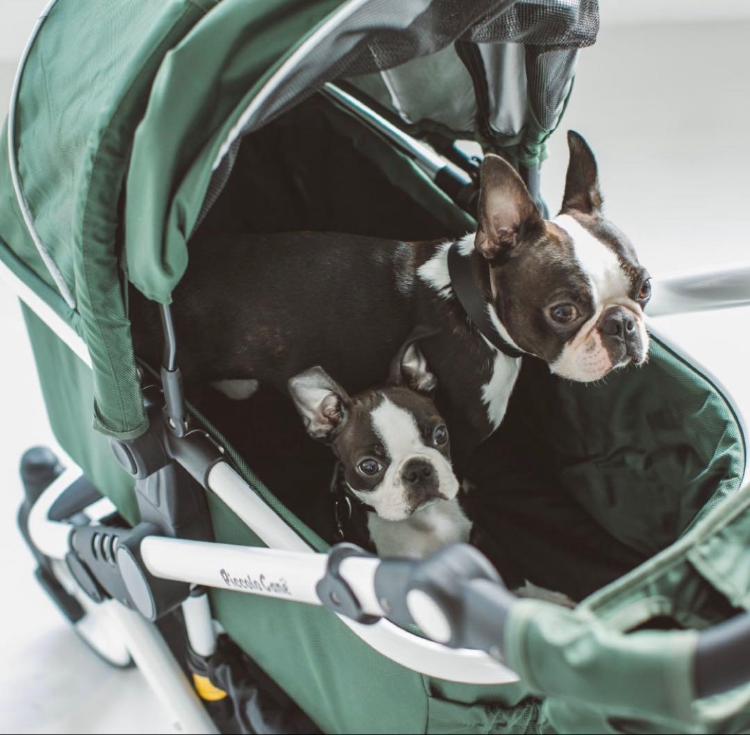 ピッコロカーネTANTOⅡ（タント ツー）ペットカート PiccoloCane