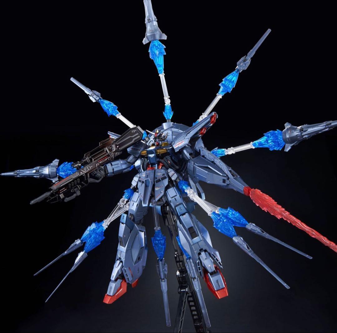 ＭＧ 1/100 プロヴィデンスガンダム [スペシャルコーティング] 新品