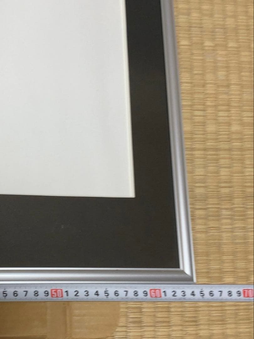 フジカラー アルミ額縁　A13 全紙　5枚