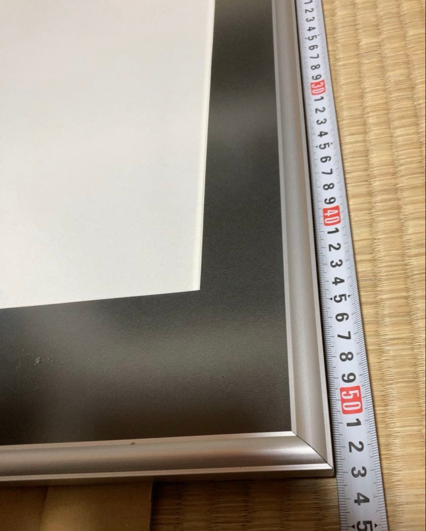 フジカラー アルミ額縁　A13 全紙　5枚