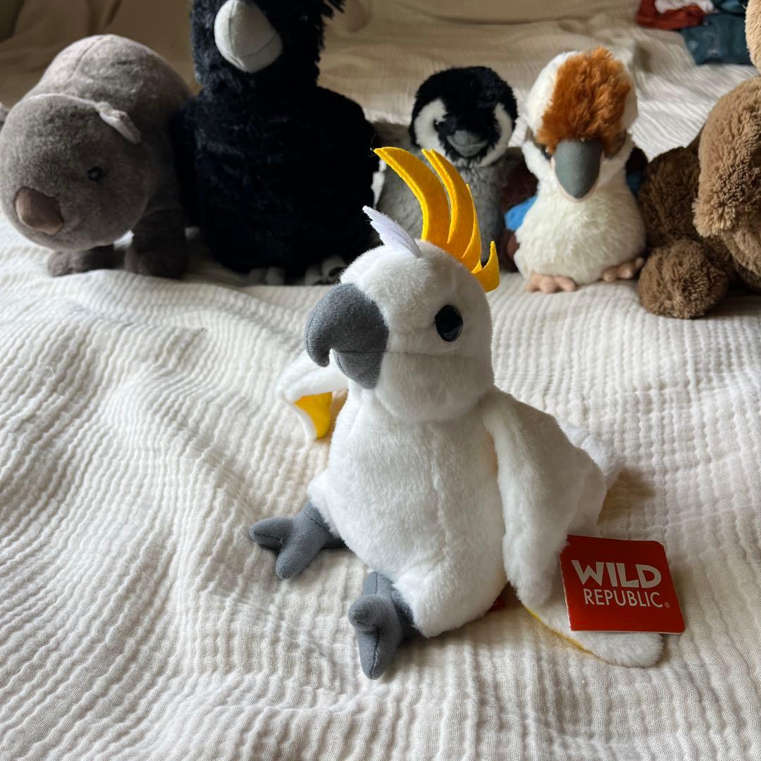 Wild Republicオーストラリアの動物ぬいぐるみ6体セット