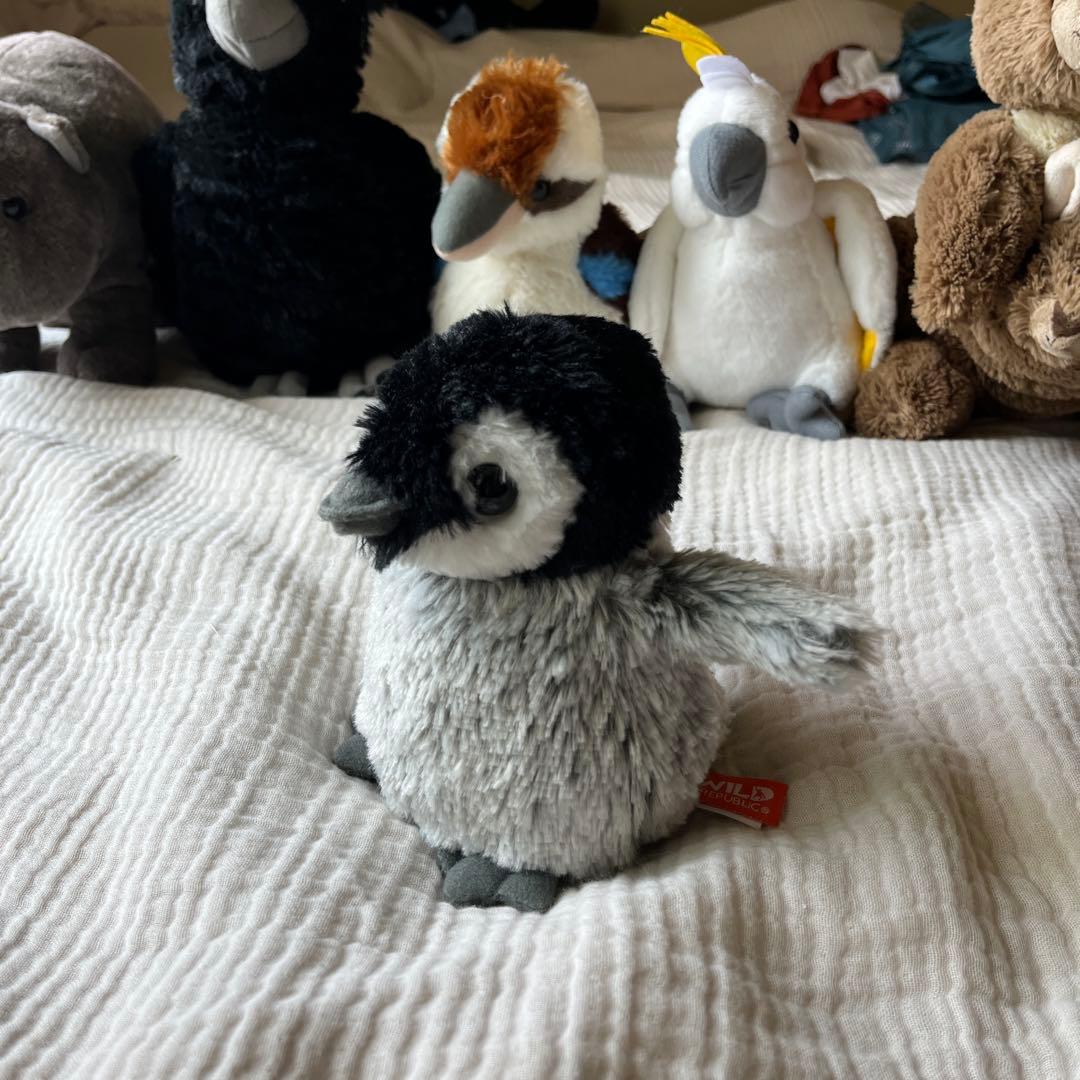 Wild Republicオーストラリアの動物ぬいぐるみ6体セット