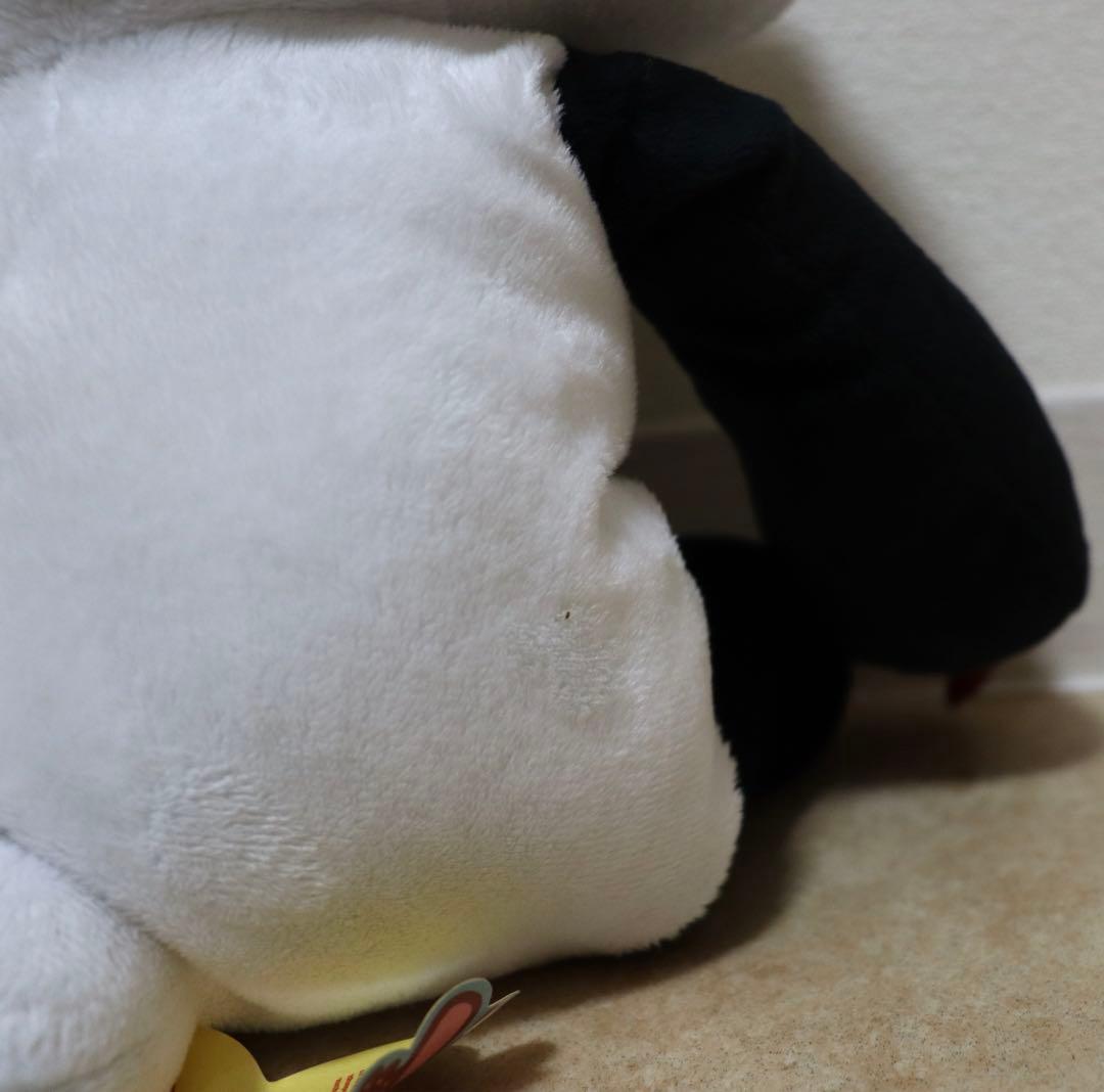 XL脱グルーミー　パンダトーンブラック　アルビノ　セット