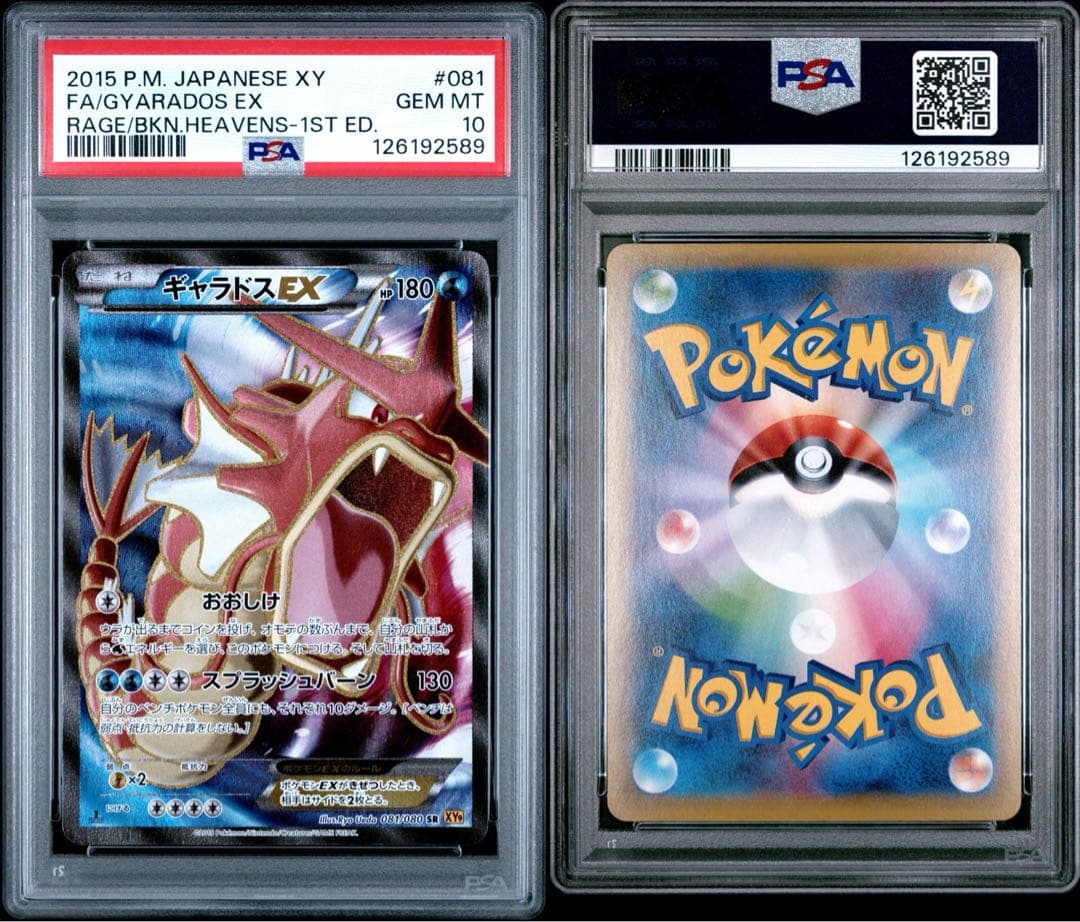PSA10 ギャラドスEX SR XY9 破天の怒り 081/080