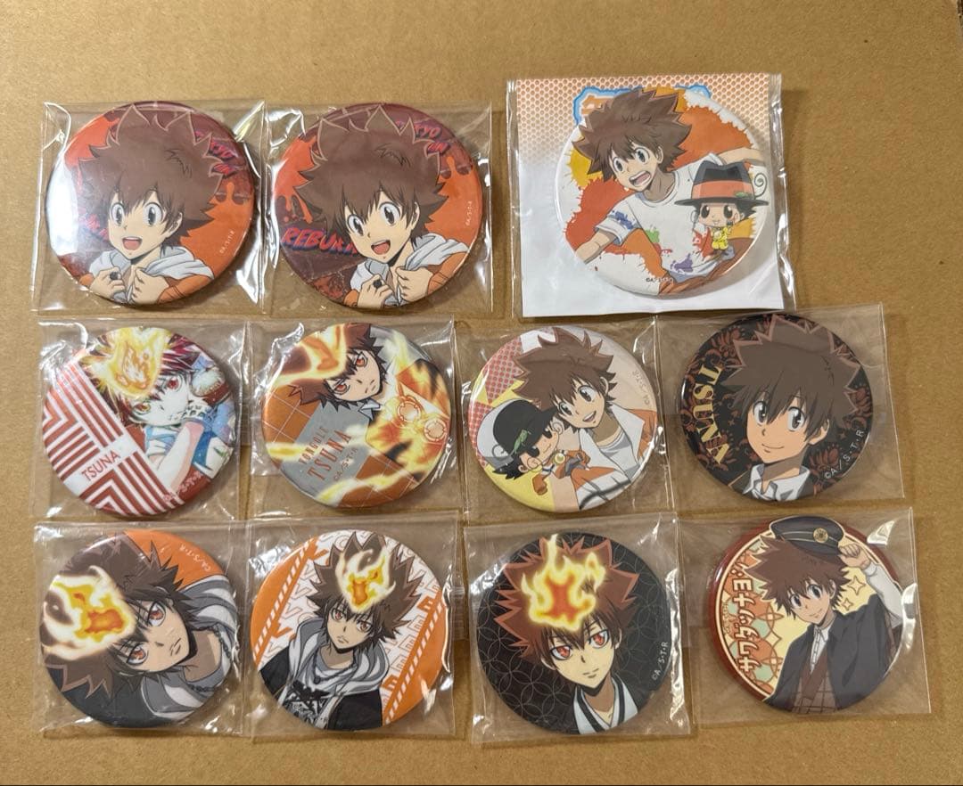 家庭教師ヒットマンREBORN まとめ売り 沢田綱吉