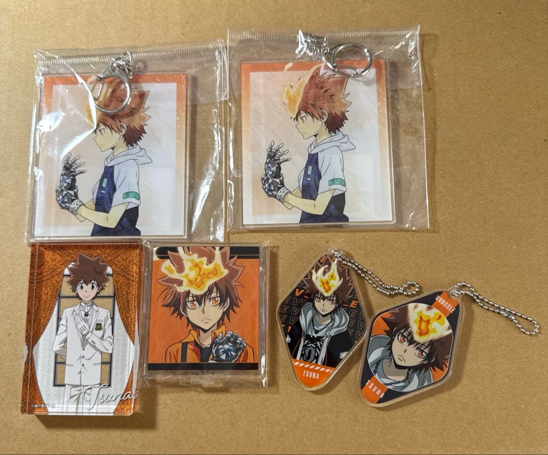 家庭教師ヒットマンREBORN まとめ売り 沢田綱吉