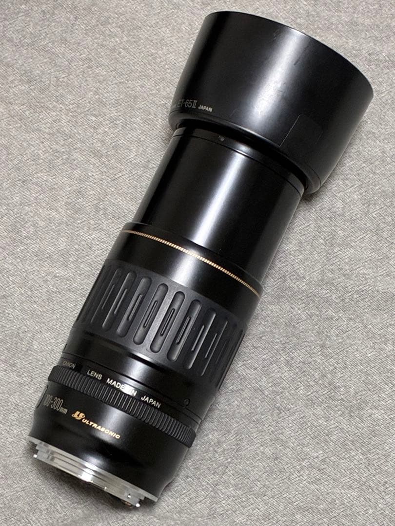 ⭐️美品⭐️キャノンCanon EF 100-300mm 4.5-5.6 USM