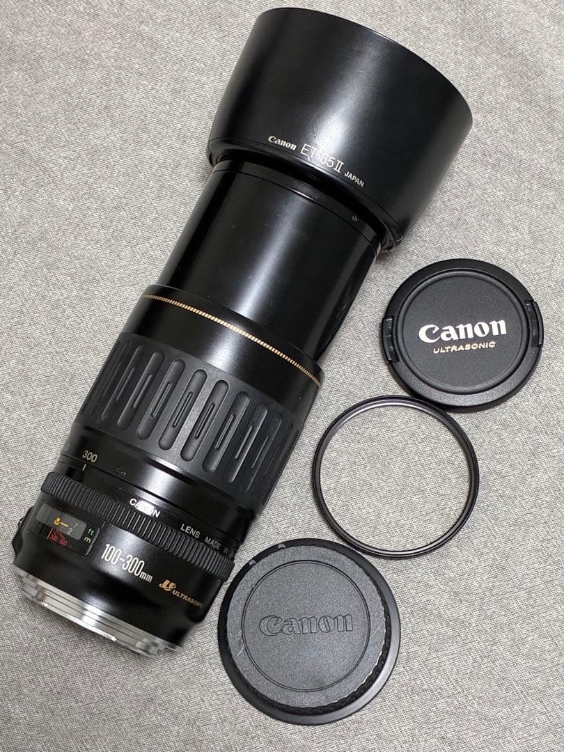 ⭐️美品⭐️キャノンCanon EF 100-300mm 4.5-5.6 USM