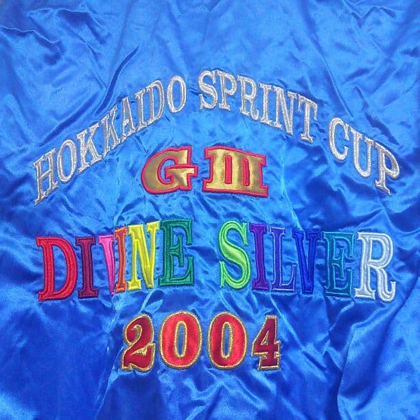 競馬ジャンバー　ミズノ　非売品　ディバインシルバー　記念品