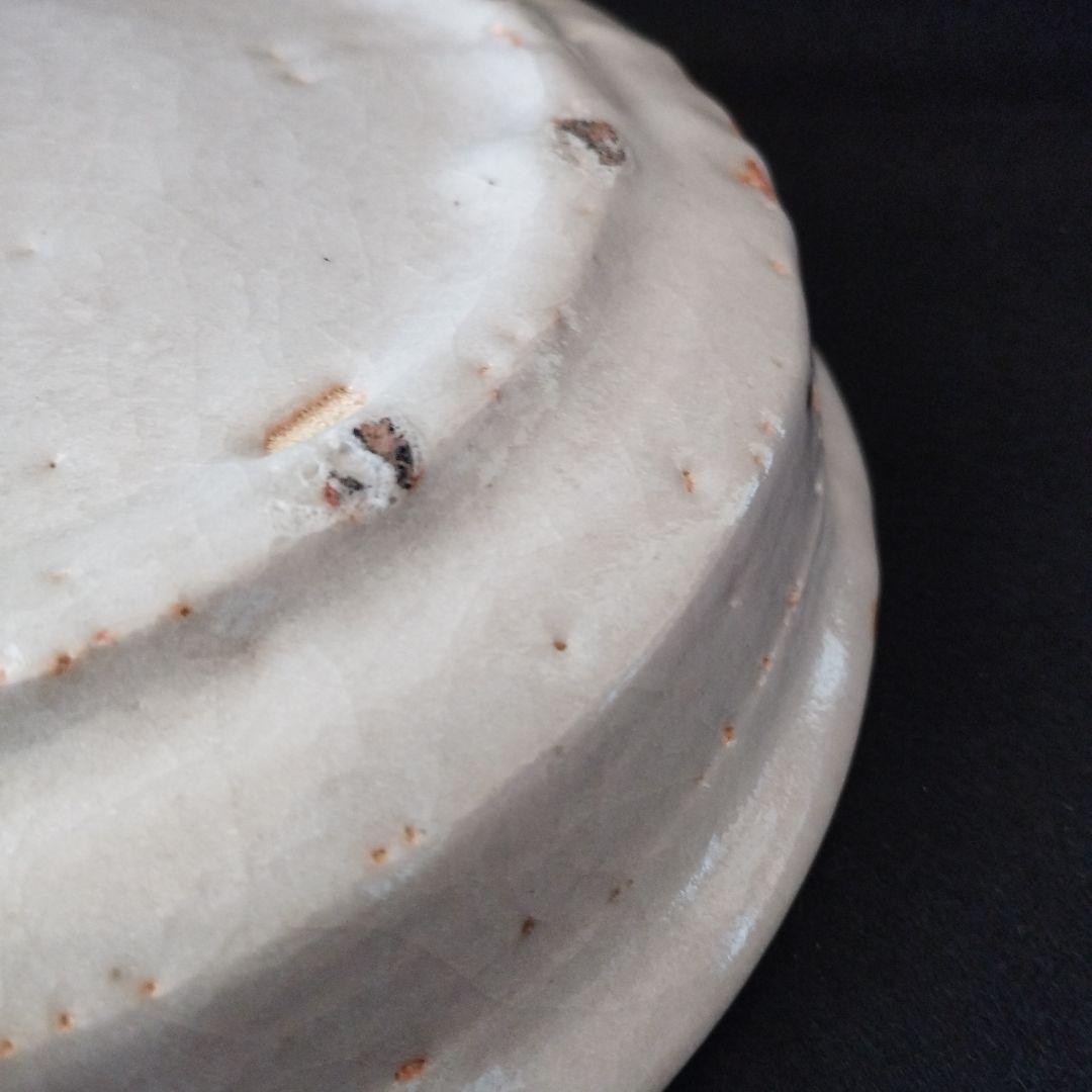 若尾利貞　志野蕪文鉢