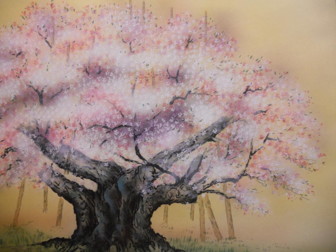 掛け軸 永縄雅光 淡墨桜 絹本 希少 軸装 茶道具 掛軸 美品 です。