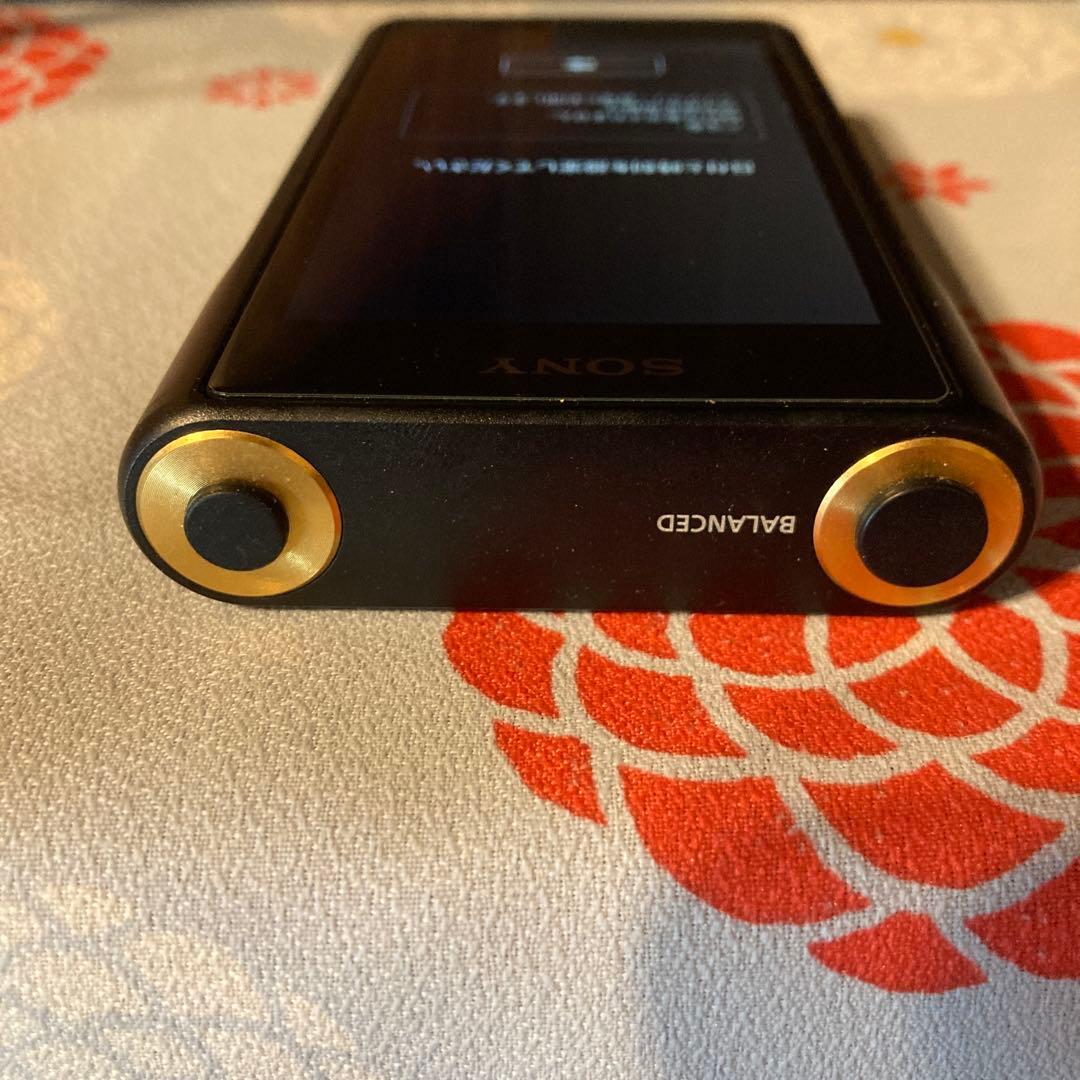 【美品】SONY NW-WM1A おまけ付き