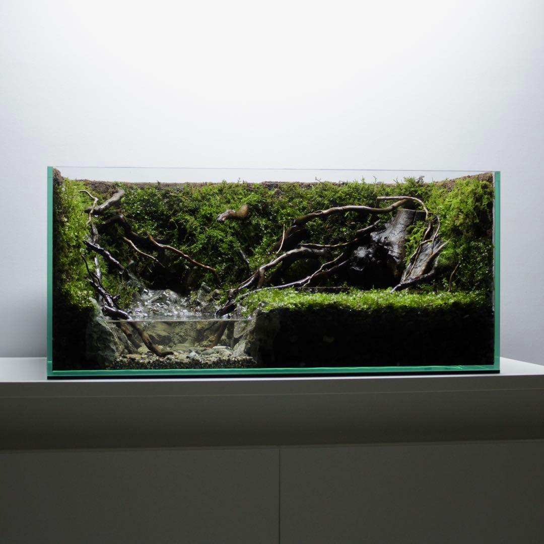 凛1.11　アクアテラリウム