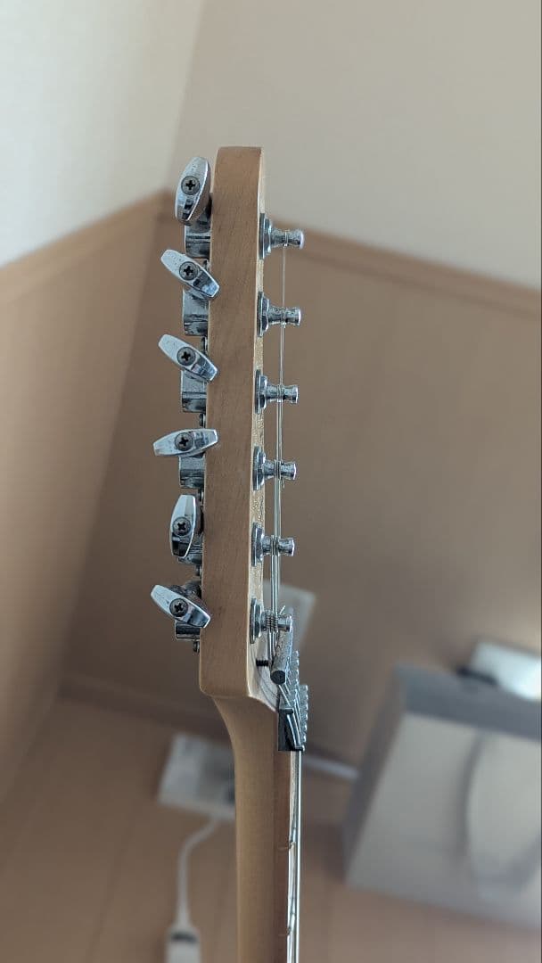 日*9様 SCHECTER SD-2-24-AL