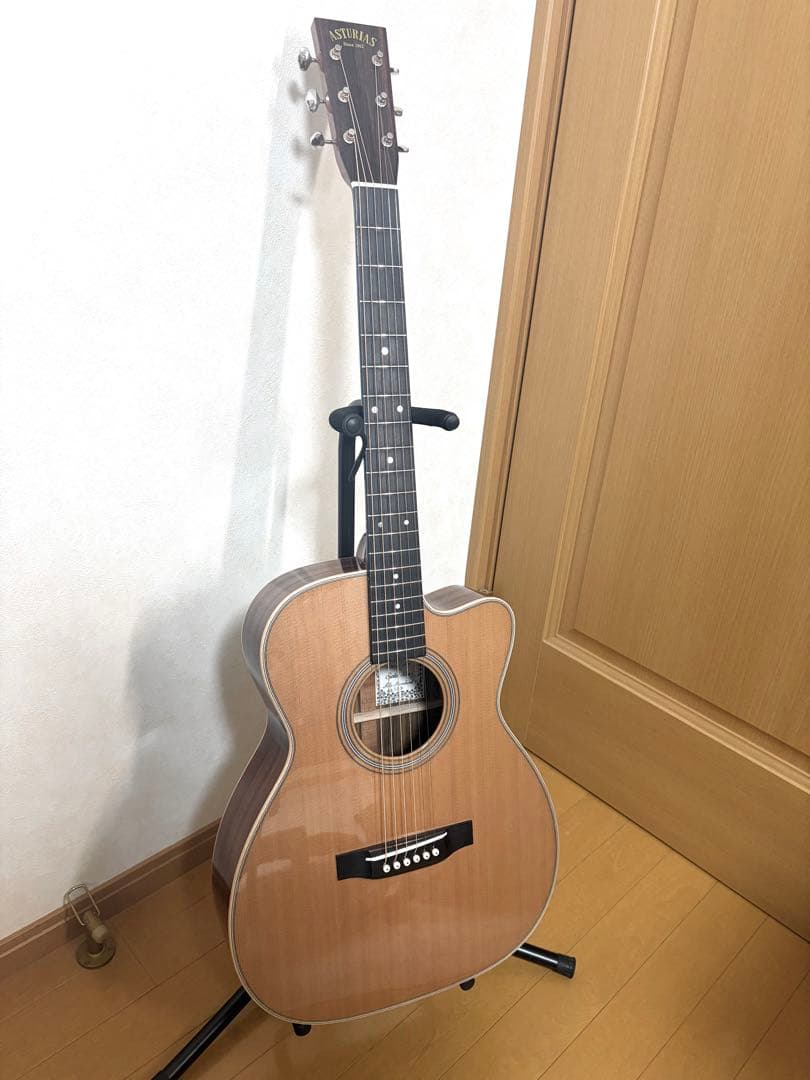 新品 ASTURIAS ソロ スタンダード C アストリアス アコギ ギター