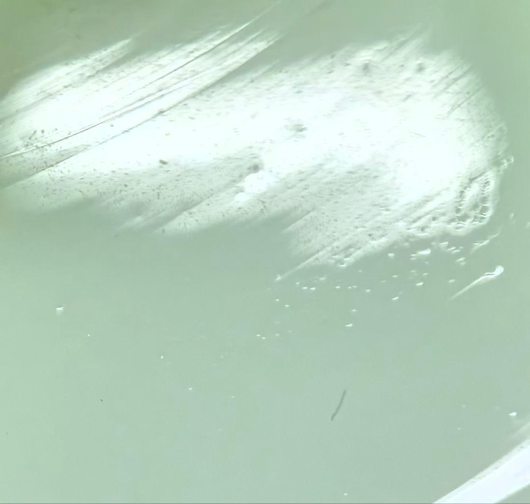 専用　アンティーク 電笠 昭和レトロ 電傘 乳白ガラス レトロ　ウランガラス