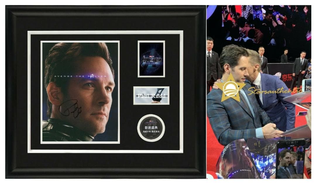 直筆サイン入り写真 ポール・ラッド アントマン/フレーム別/SA鑑定済