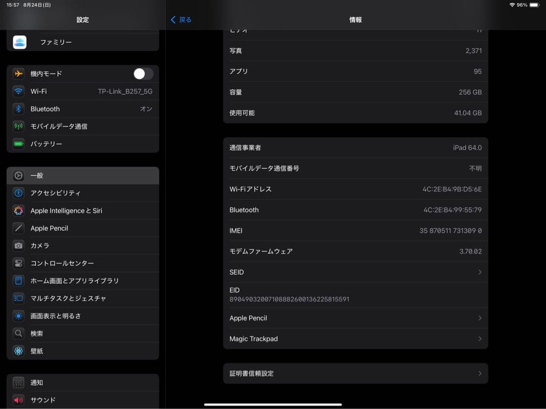 iPad Pro 12.9 第6世代 Wi-Fi+Cellularシルバー