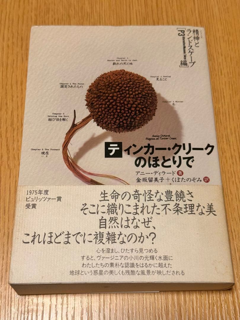 アニーディラード ティンカー・クリークのほとりで シリーズ精神とランドスケープ