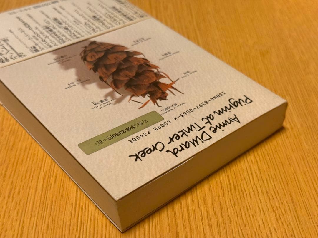 アニーディラード ティンカー・クリークのほとりで シリーズ精神とランドスケープ